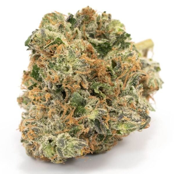 Cotton Candy Kush Sativa_2 Cotton Candy Kush Sativa