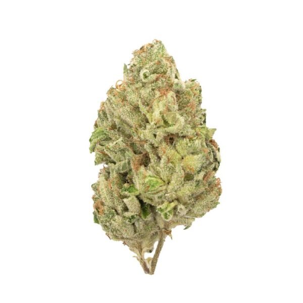 Grapefruit Sativa