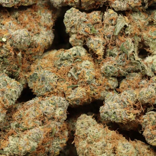 9-pound-hammer-w 9 Pound Hammer