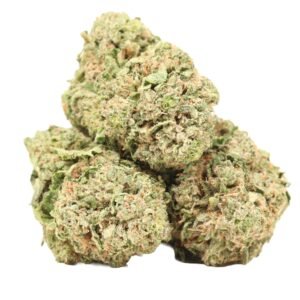 Bc-pink-kush-strain BC Pink Kush Strain