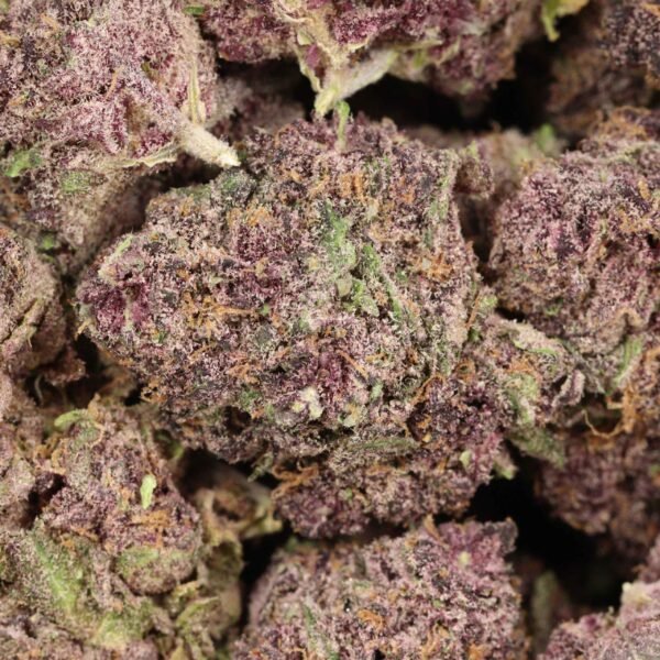 Black-chery-og-w Black Cherry OG