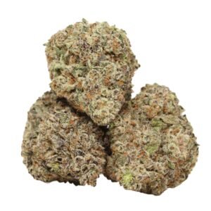 Black Forest Cake AAAA+ Hybrid Craft