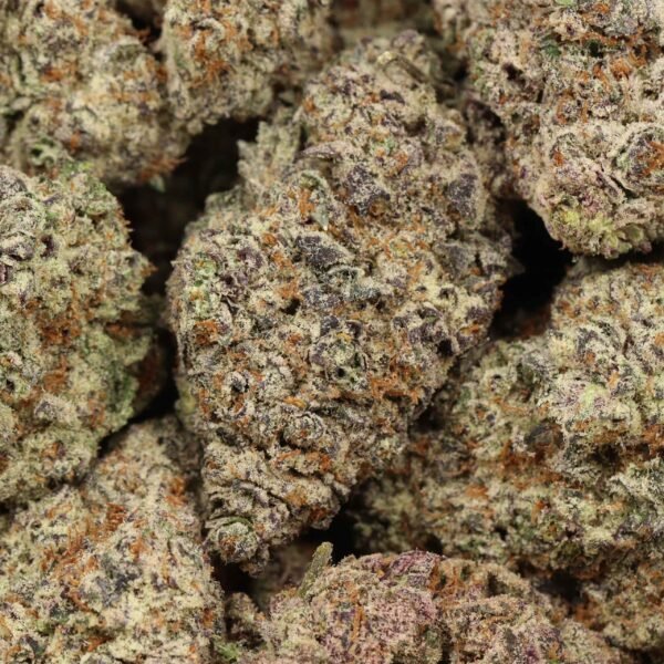 Black Forest Cake AAAA+ Hybrid Craft