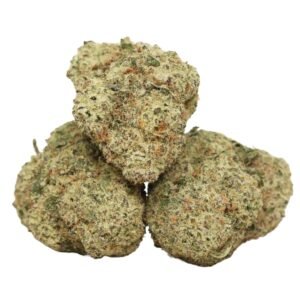 Black-kush-strain Black Kush