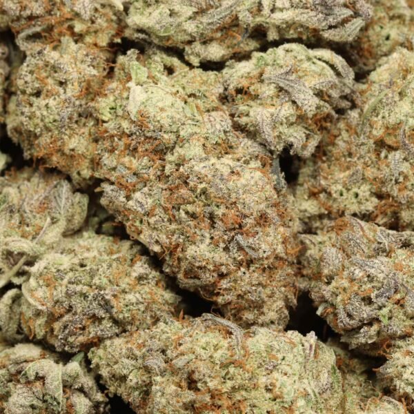 Black-tuna-w Black Tuna