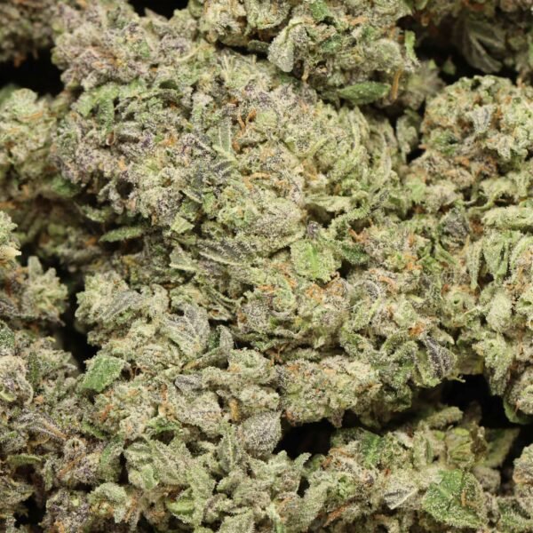 Blue Hawaiian AAAA+ Hybrid Craft