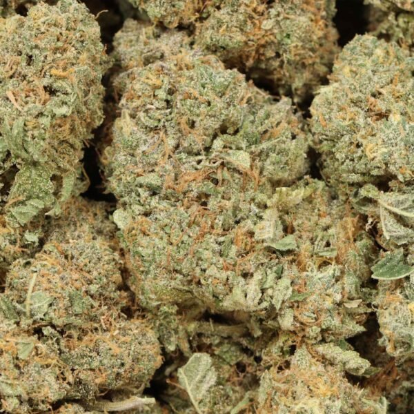 Blue-king-w Blue King