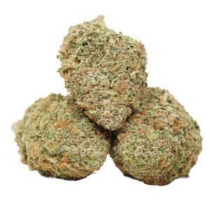 Blue-lemon-strain Blue Lemon