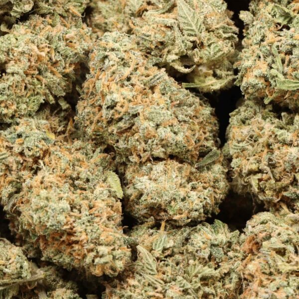 Candyland Strain