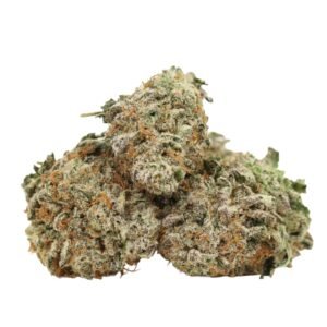 Cherry-dog-strain Cherry Dog