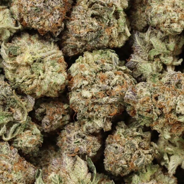 Cherry-dog-w Cherry Dog