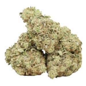 Comatose-og-strain-1 Comatose Strain