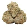 Dank-sinatra-strain-1 Dank Sinatra Strain
