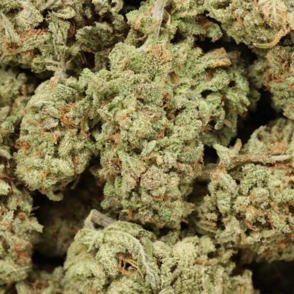 Durban Poison