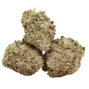 Fancy Funk AAAA+ Hybrid Craft