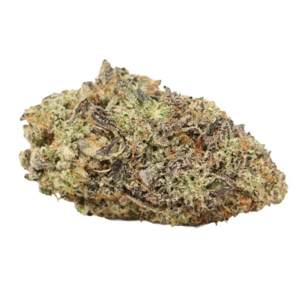 Fancy Funk AAAA+ Hybrid Craft