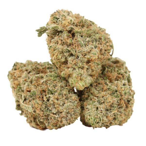 Girl-scout-cookies-strain Girl Scout Cookies