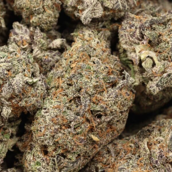 Grape Cake AAAA+ Hybrid Craft