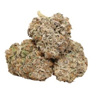 Kombucha AAAA+ Hybrid Craft