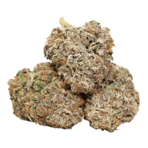 Kombucha AAAA+ Hybrid Craft