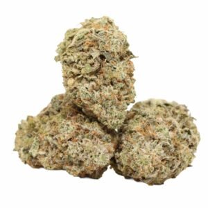 Mango-kush-strain-1 Mango Kush