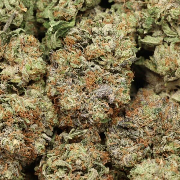 Pink Banner AAAA+ Indica Craft