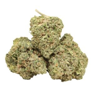 Pink-poncho-strain Pink Poncho