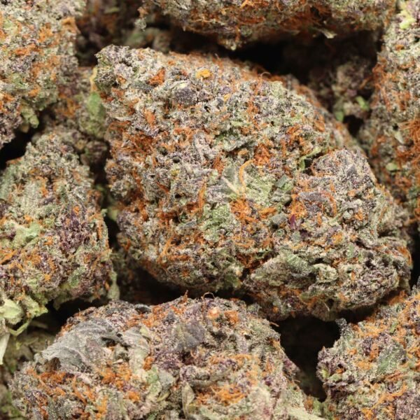 Purple Blizzard AAAA+ Hybrid Craft