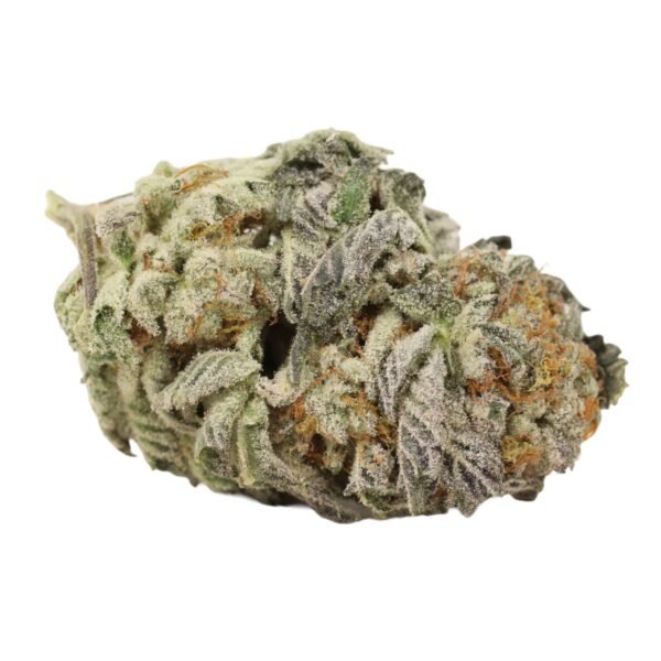 Star-brust-weed Starburst