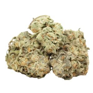 Tuna-god-strain-1 Tuna God