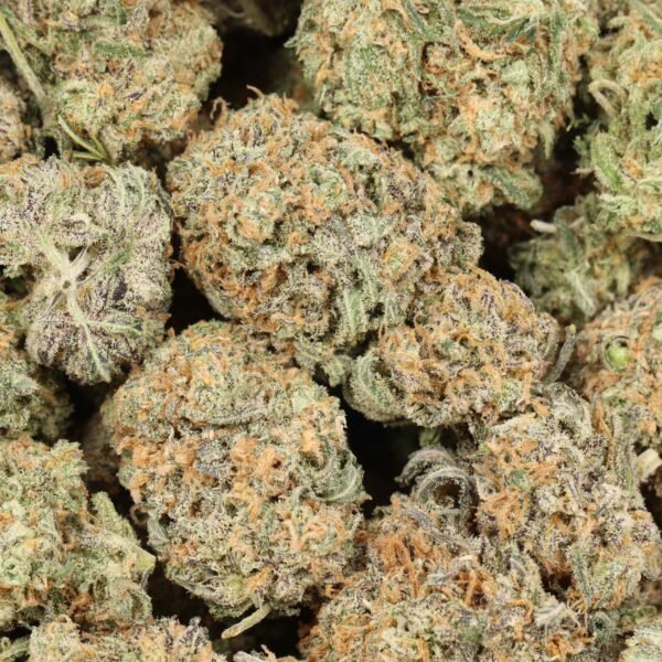 White-truffle-w White Truffle