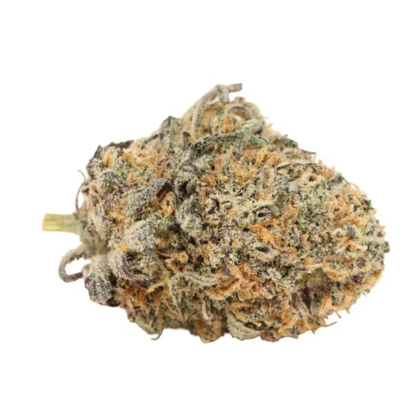 White-truffle-weed White Truffle