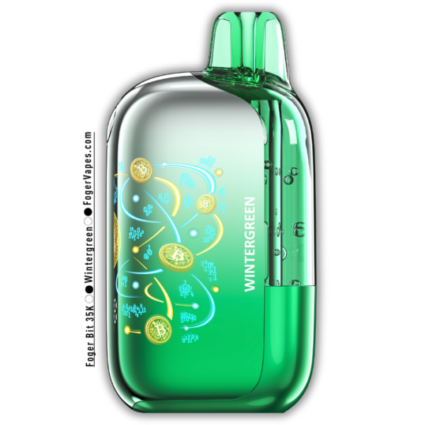 wintergreen-foger-bit-35k-1.png WinterGreen – Foger Bit 35K Puffs